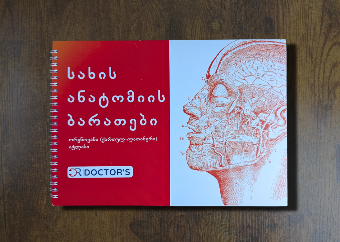 სახის ანატომიის ბარათები